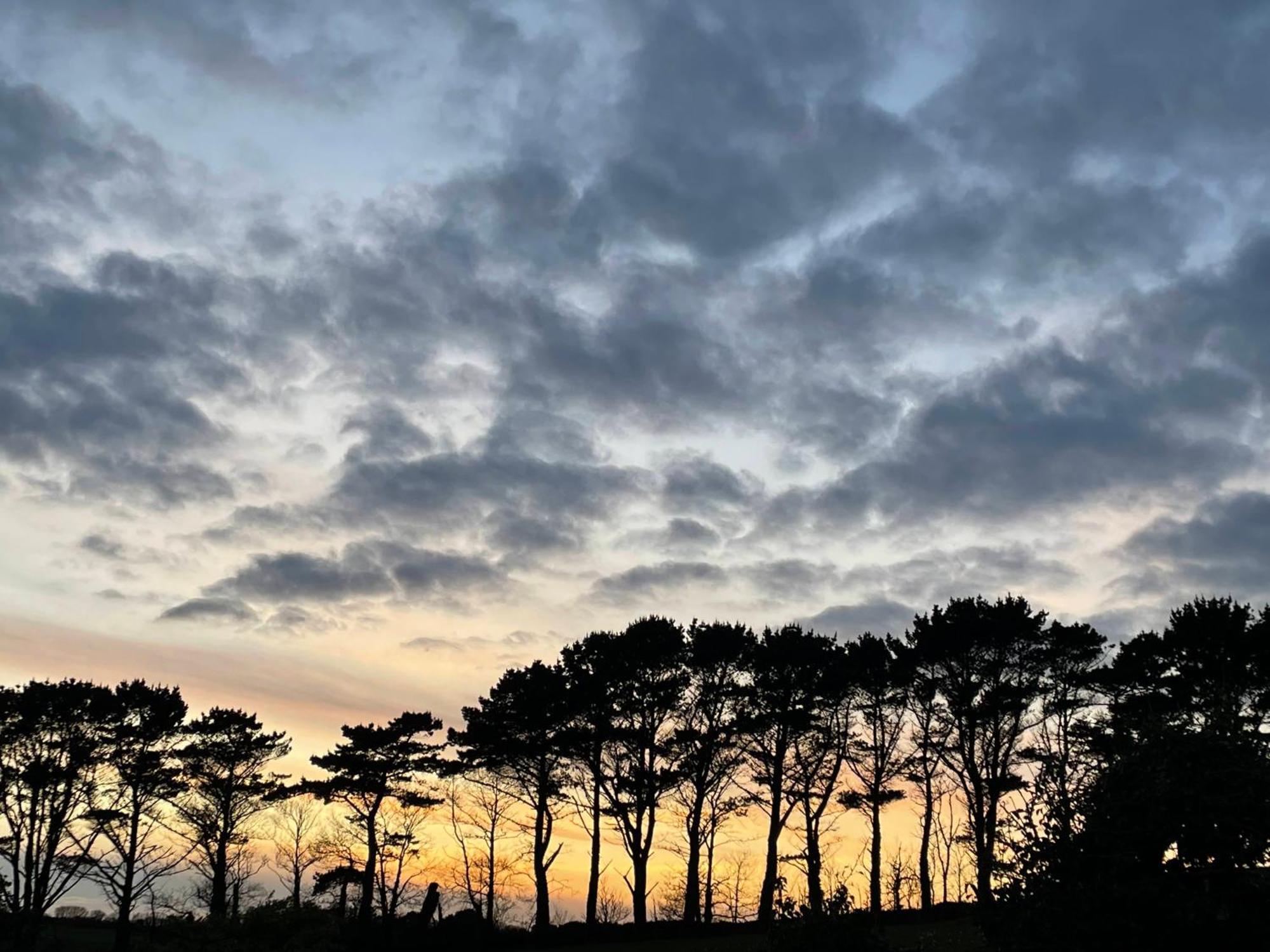 Fowey River Views Luaran gambar